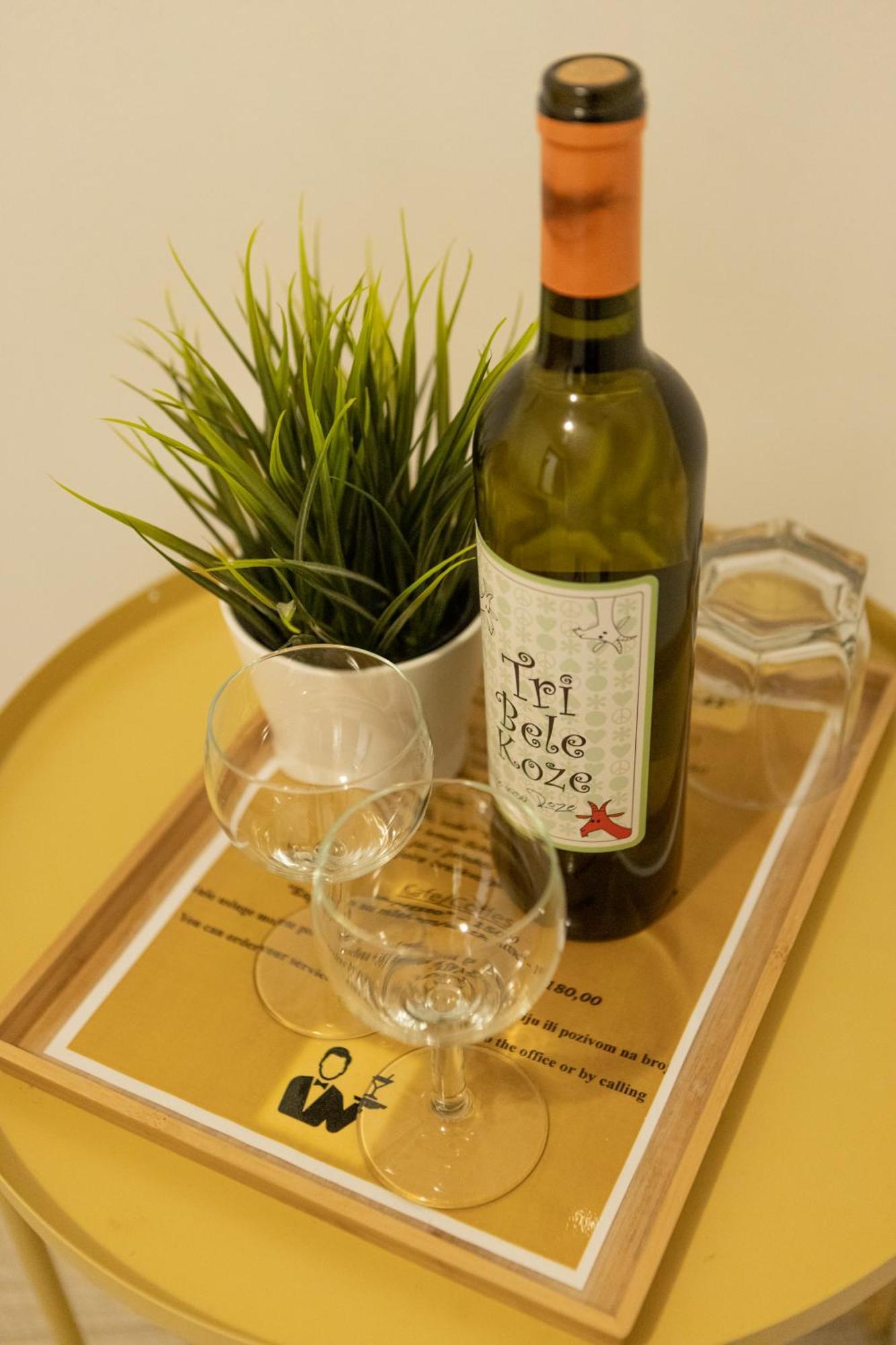 Garni House 46 Plus 贝尔格莱德 外观 照片