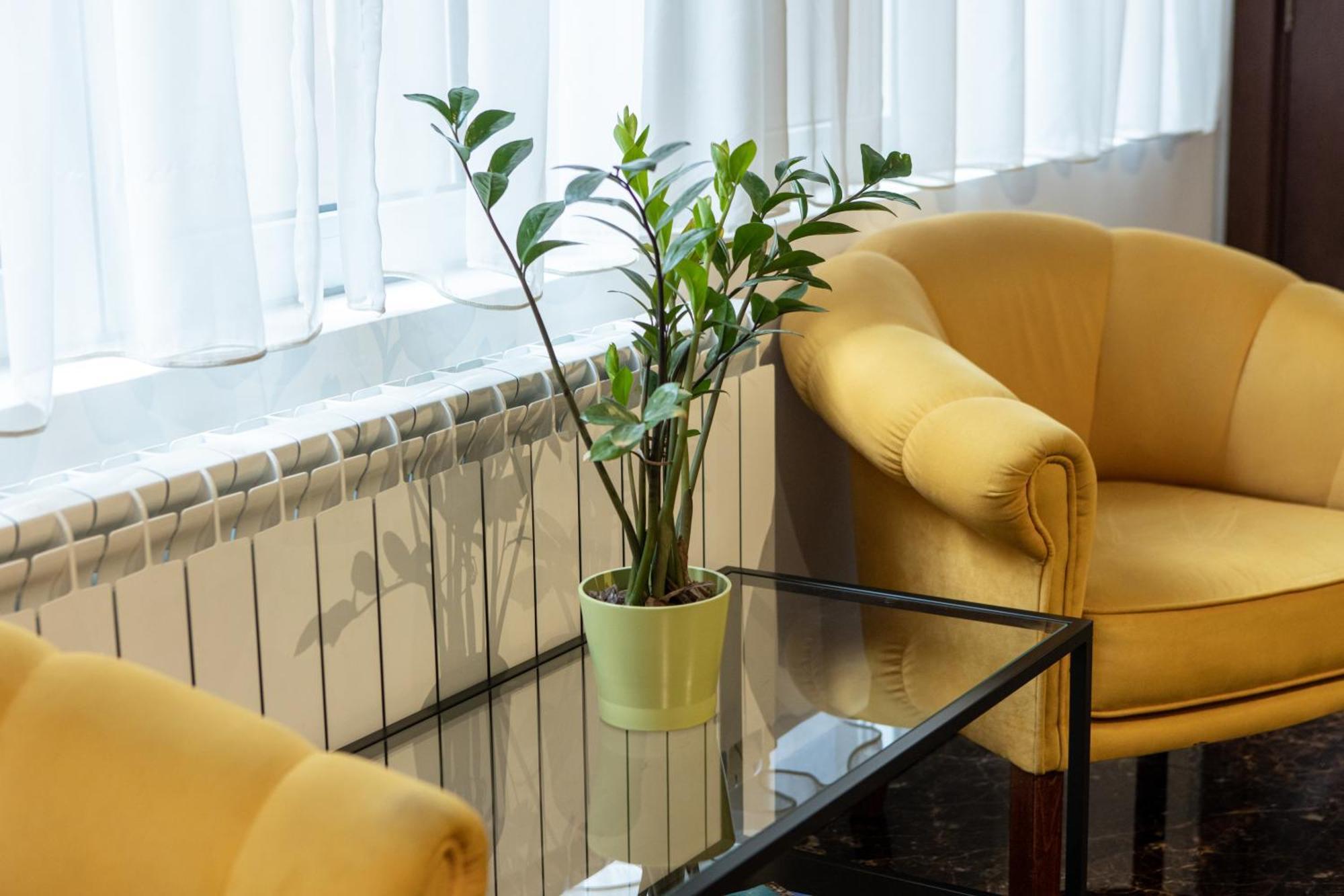 Garni House 46 Plus 贝尔格莱德 外观 照片
